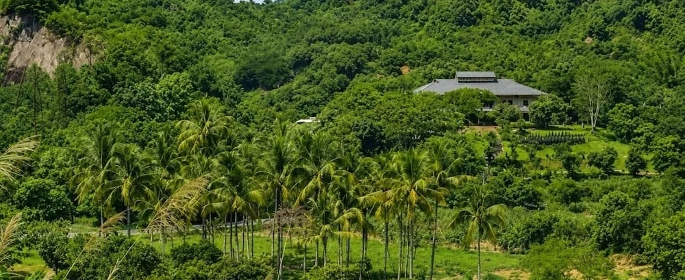 A wide view of buildings, orchards and palms surrounded by green hills