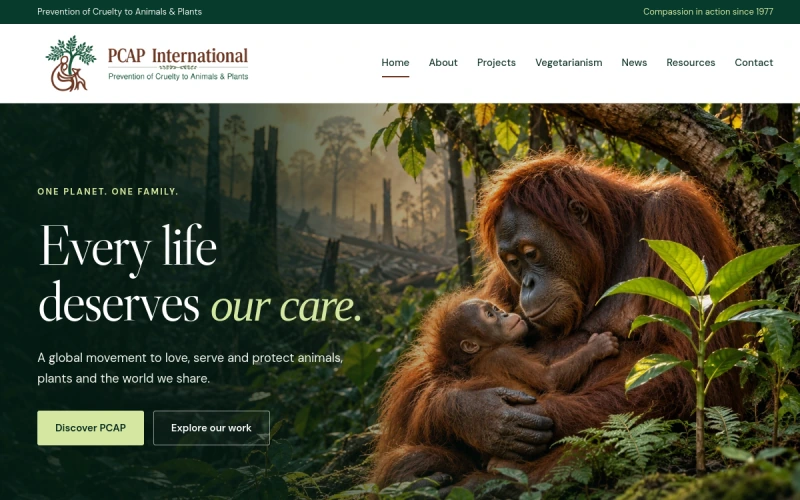 Website screenshot of PCAP International